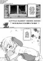 Little Rabbit [Nicoco] [Original] Thumbnail Page 01