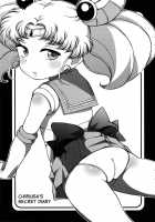 Chibiusa No Himitsu Diary / ちびうさのひみつダイアリー [Ponpon Itai] [Sailor Moon] Thumbnail Page 03