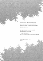 Rainbow Herb Tea [Makita Yoshiharu] [Rune Factory] Thumbnail Page 03