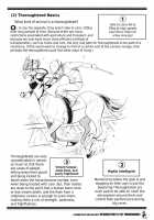 Learning With Centaur Girls: Introduction To The Thoroughbred [Takatsu] [Original] Thumbnail Page 05