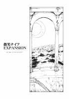 Ukyoe-Kan Smiling Knife EXPANSION / 東方浮世絵巻 微笑ナイフEXPANSION [Fujiwara Shunichi] [Touhou Project] Thumbnail Page 03