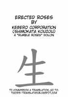 ERECTED ROSES [Shimokata Kouzou] [Rumble Roses] Thumbnail Page 02