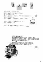 Yosuzume Yuugi / 夜雀遊戯 [Mei] [Touhou Project] Thumbnail Page 03