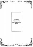 A Certain Flat-Chested Railgun Book / とある貧乳の超科学本 [Shironeko Sanbou] [Toaru Kagaku No Railgun] Thumbnail Page 04