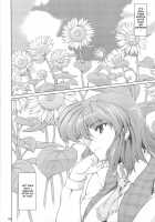 On The Sunny Field -- Afterwards / 太陽の畑にて･それから + ペーパー [Misasagi Task] [Touhou Project] Thumbnail Page 04