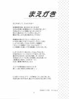 Kawaii Petto No Shitsukekata [Tilm] [Touhou Project] Thumbnail Page 03