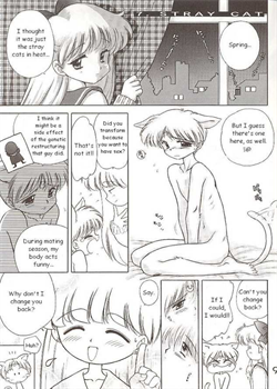 Sailor Venus - The Stray Cat [Kuroinu Juu] [Sailor Moon]