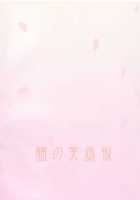 A Kiss Under Cherry Blossom Color / さくらいろの下でくちづけを [Farge] [Maria-Sama Ga Miteru] Thumbnail Page 02