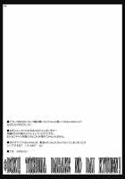 Doki!! Toshima Darake No Dai Kyouen / ドキッ!年増だらけの大狂艶 [Misasagi Task] [Touhou Project] Thumbnail Page 04