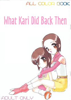 What Kari Did Back Then [Kazasuzu] [Digimon]