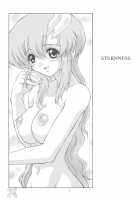 Sternness / STERNNESS [Harukaze Soyogu] [Gundam Seed] Thumbnail Page 02
