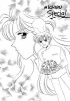 Guidebook [Hayashiya Shizuru] [Sailor Moon] Thumbnail Page 15