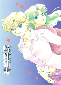 Guidebook [Hayashiya Shizuru] [Sailor Moon]