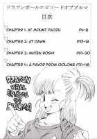 Dragon Ball EB 1 - Episode Of Bulma / DRAGON BALL EB 1 - EPISODE OF BULMA [Youngjijii] [Dragon Ball] Thumbnail Page 04