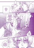 Kitsune Prince Mating Season / プリンス天狐は発情期 [Moko] [Touhou Project] Thumbnail Page 11