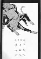 Like Cat And Dog / LIKE CAT AND DOG [Mikami Takeru] [Gintama] Thumbnail Page 03