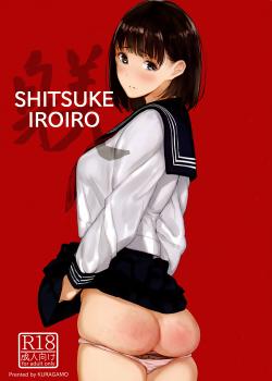 SHITSUKE IROIRO [Tukinowagamo] [Original]