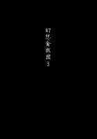 Gensou Kinjuuen 3 / 幻想禽獣園3 [Takashi] [Touhou Project] Thumbnail Page 02