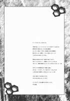 Walking with strangers [Makita Yoshiharu] [Rune Factory] Thumbnail Page 03