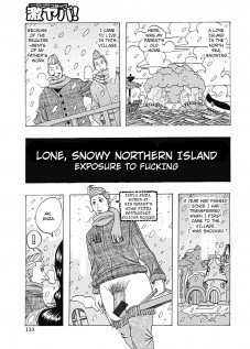 Lone, Snowy Northern Island / 北海の孤鳥チラチラ [Jeanne Dack] [Original]