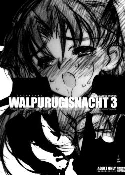 Walpurgis No Yoru 3 / ワルプルギルスの夜 3 [Inoue Junichi] [Fate]