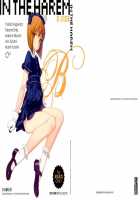 IN THE HAREM B SIDE / IN THE HAREM B SIDE [Oyari Ashito] [The Idolmaster] Thumbnail Page 01