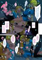 Hyrule Hanei no Tame no Katsudou! / ハイラル繁栄のためのかつどう! [Morikoke] [The Legend Of Zelda] Thumbnail Page 12