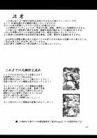 Touhou Bondage Dai Undoukai!! / 東方ボンデジ大運動会!! [Kousoku] [Touhou Project] Thumbnail Page 04