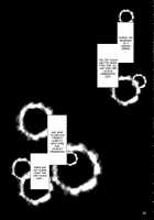 Toshimaen 0 / 年増艶・0 [Misasagi Task] [Touhou Project] Thumbnail Page 05