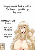 Captured By A Harpy. / ハーピーさんに捕まって。 [Hroz] [Original] Thumbnail Page 09