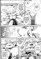 Ore no Fuyu 2013 / 俺の冬2013 [Agawa Ryo] [Sonic The Hedgehog] Thumbnail Page 11