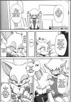 Ore no Fuyu 2013 / 俺の冬2013 [Agawa Ryo] [Sonic The Hedgehog] Thumbnail Page 07