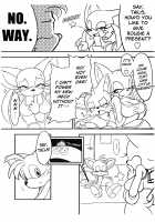 Canned Furry / ケモノの缶詰 [Michiyoshi] [Sonic The Hedgehog] Thumbnail Page 06