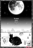 Nyancology 4 -Usami-san And The Secret School Infirmary / ニャンコロジ4 -宇佐美さんと秘密の保健室- [Konomi] [Original] Thumbnail Page 03
