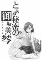 Toaru Himitsu no Onee-sama / とある秘密の御坂美琴 Page 3 Preview