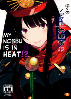 My Nobu is in Heat?! / ぼくのノッブに大興奮!? [Homu] [Fate]