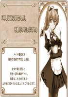MP Maid promotion master / えむぴぃ Maid promotion master Page 744 Preview