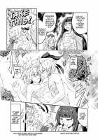 Princess Fight / プリンセスファイト [Senmura] [Touhou Project] Thumbnail Page 14