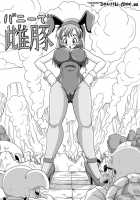 Sow In The Bunny / バニーで雌豚 [Muscleman] [Dragon Ball] Thumbnail Page 05