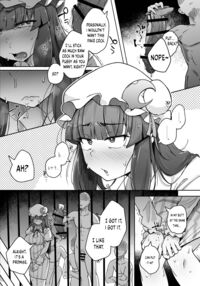 The Hole and the Closet Perverted Unmoving Great Library 5 / 穴とむっつりどすけべだいとしょかん 5 [Flanvia] [Touhou Project] Thumbnail Page 11