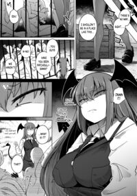 The Hole and the Closet Perverted Unmoving Great Library 5 / 穴とむっつりどすけべだいとしょかん 5 [Flanvia] [Touhou Project] Thumbnail Page 13