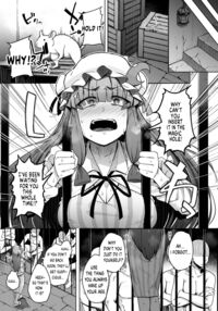 The Hole and the Closet Perverted Unmoving Great Library 5 / 穴とむっつりどすけべだいとしょかん 5 [Flanvia] [Touhou Project] Thumbnail Page 05