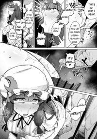 The Hole and the Closet Perverted Unmoving Great Library 5 / 穴とむっつりどすけべだいとしょかん 5 [Flanvia] [Touhou Project] Thumbnail Page 08